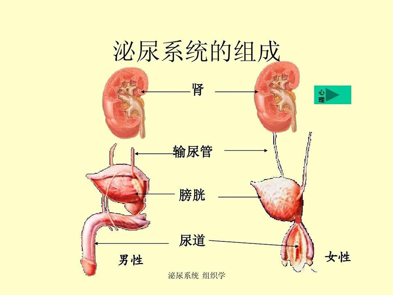 香熏机价格