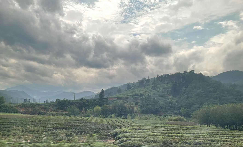 无火香薰 无火香薰